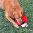 ZippyPaws Squeakie Crawler Betsey the Ladybug Dog Toy - Kohepets