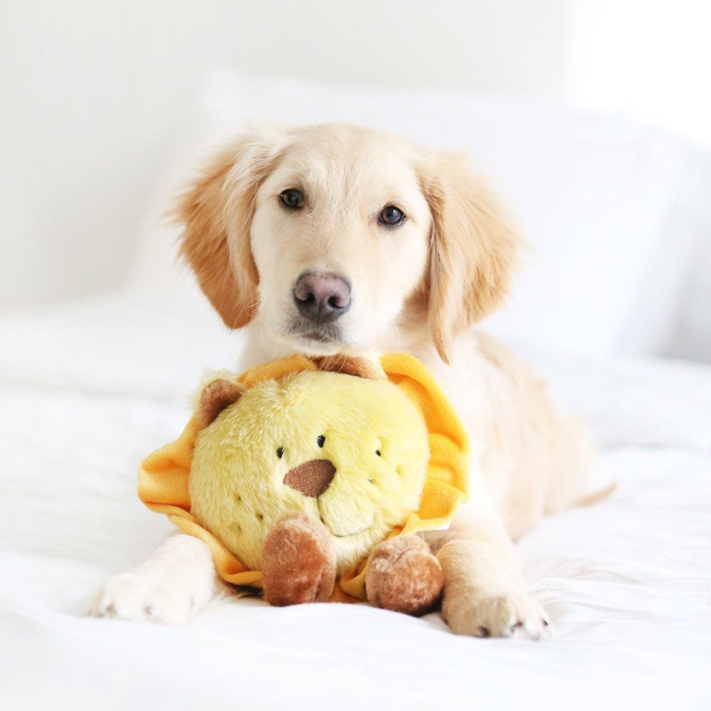 ZippyPaws Brainey Lion Dog Toy - Kohepets