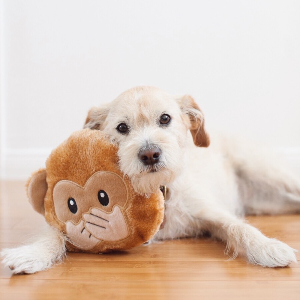 ZippyPaws Emojiz Monkey Dog Toy - Kohepets