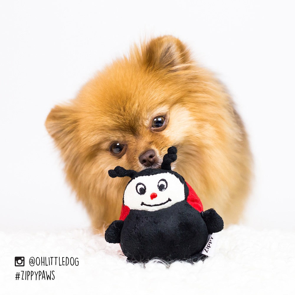 ZippyPaws Gabbles Musical Ladybug Dog Toy - Kohepets