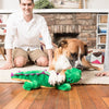ZippyPaws Grunterz Alvin The Alligator Dog Toy - Kohepets