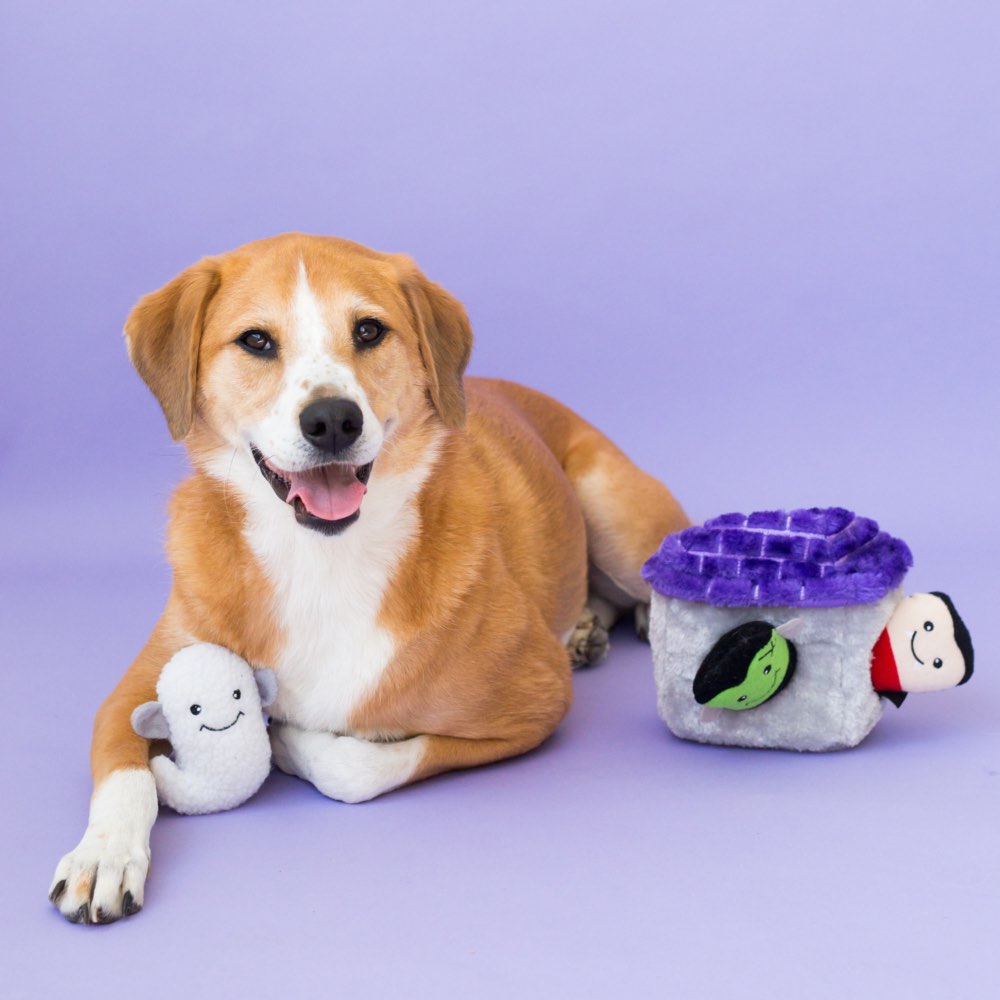 ZippyPaws Halloween Burrow Haunted House Dog Toy - Kohepets