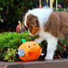 ZippyPaws Halloween Burrow Pumpkin With Bats Dog Toy - Kohepets