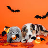 ZippyPaws Halloween Burrow Spooky Gravestone Dog Toy - Kohepets