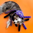 ZippyPaws Halloween Grunterz Purple Spider Dog Toy - Kohepets