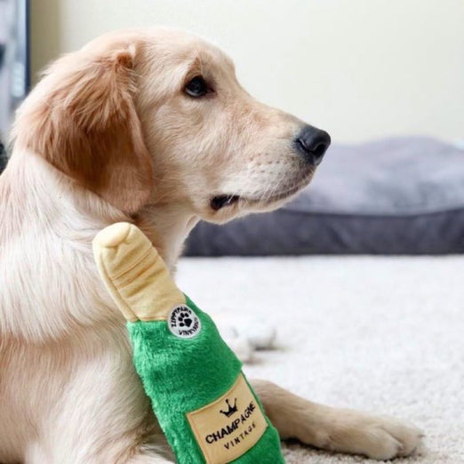 ZippyPaws Happy Hour Crusherz Champagne Plush Dog Toy - Kohepets