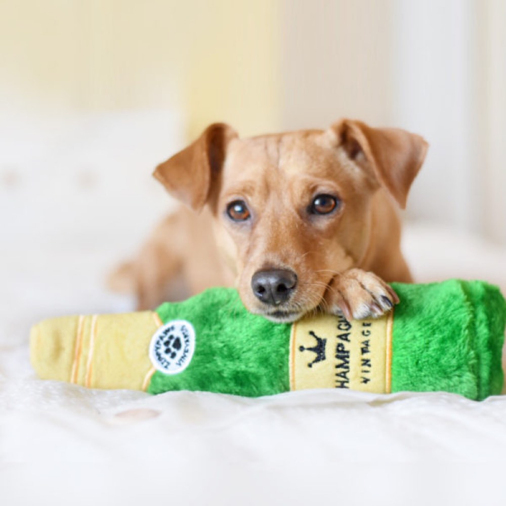 ZippyPaws Happy Hour Crusherz Champagne Plush Dog Toy - Kohepets