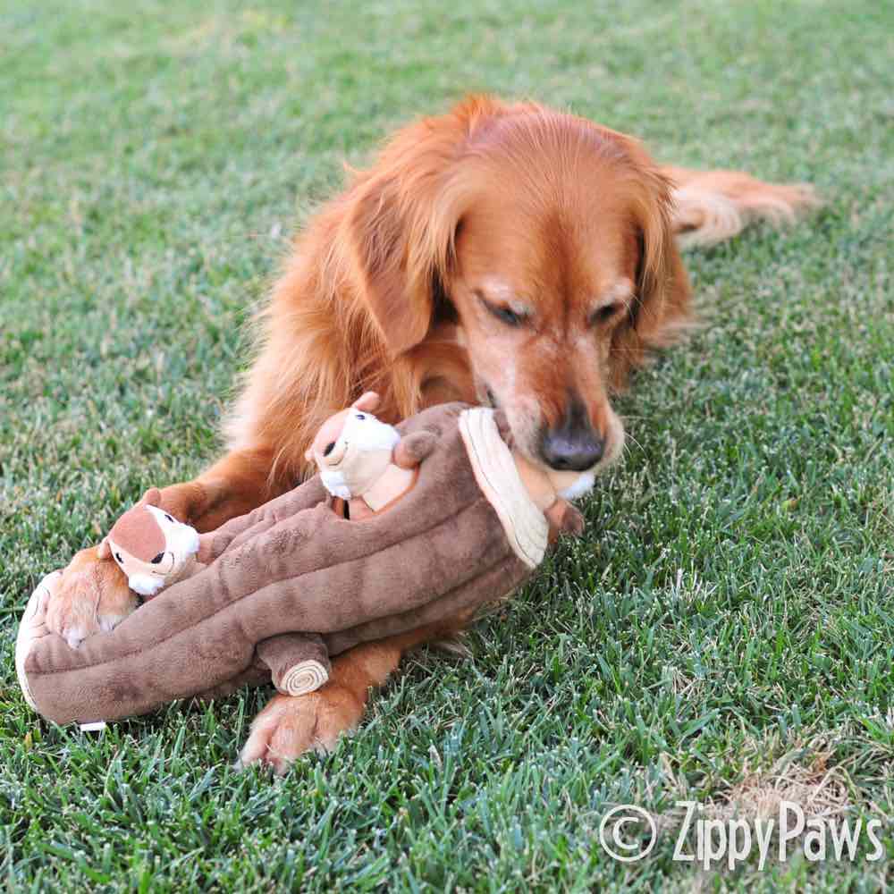 ZippyPaws Burrow XL Log Dog Toy - Kohepets