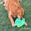 ZippyPaws Squeakie Crawler SlowPoke the Turtle Dog Toy - Kohepets