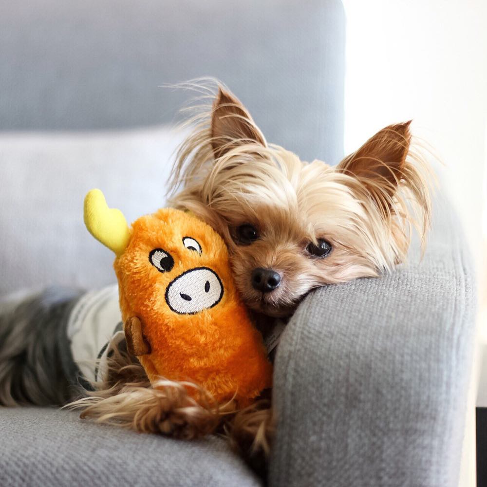 ZippyPaws Squeakie Buddie Moose Dog Toy - Kohepets