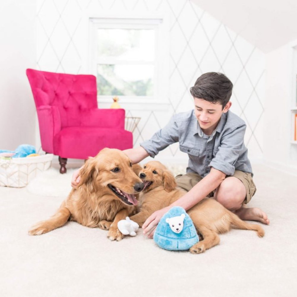 ZippyPaws Zippy Burrow Polar Bear Igloo Plush Dog Toy - Kohepets