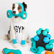 ZippyPaws ZippyTuff Squeakerz Dumbbell Dog Toy - Kohepets